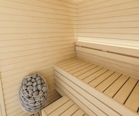 Sauna model Y )